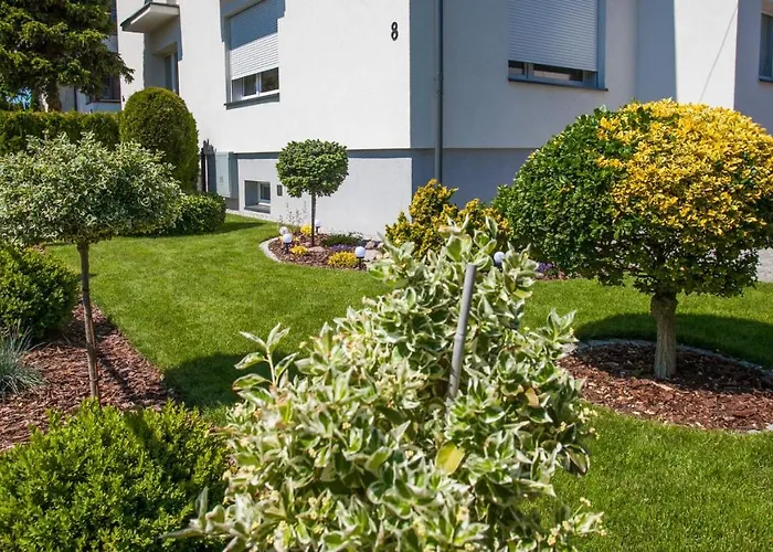 Miodowa Near By The - Orlowo